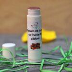 Balsam de buze cu fructe de pădure